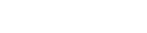 DIEM srl